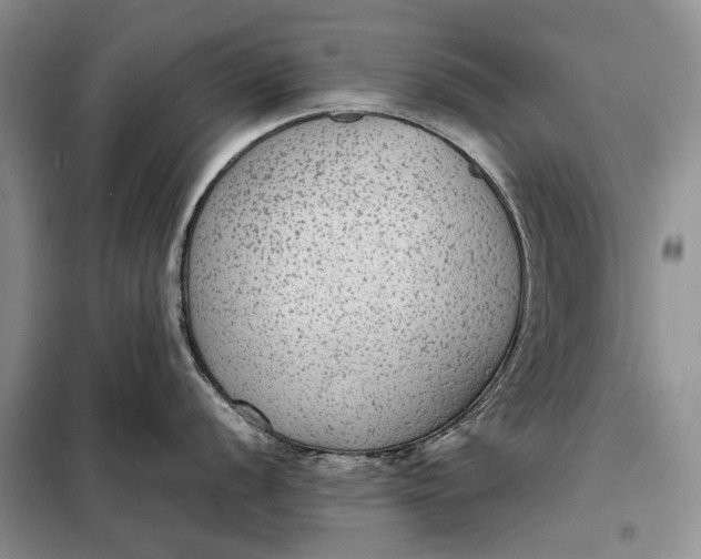 X0000098021056200804181157