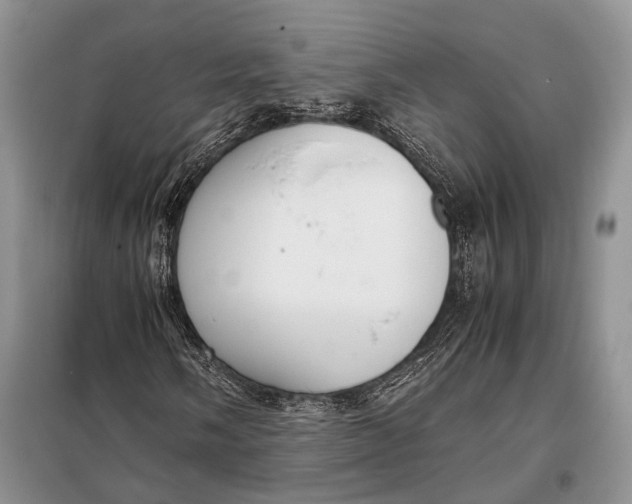 X0000098021058200804181156