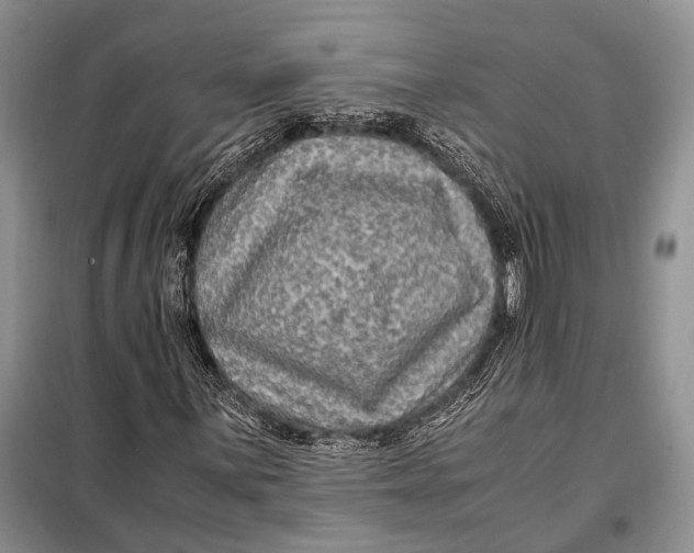 X0000098021059200804181156