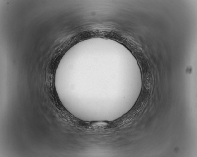 X0000098021061200804181156