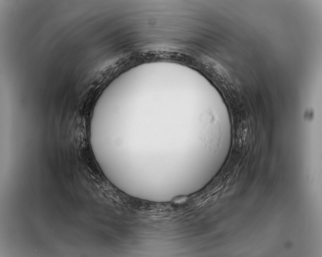 X0000098021062200804181156