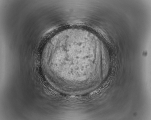 X0000098021063200804181156