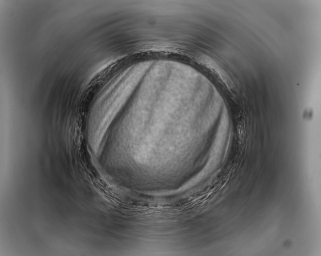 X0000098021064200804181156