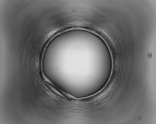 X0000098021065200804181156