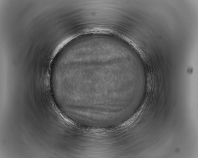 X0000098021066200804181156