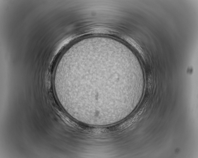 X0000098021067200804181156