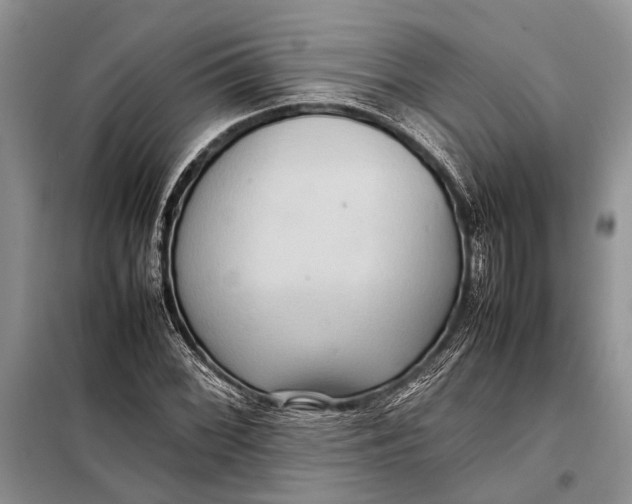 X0000098021068200804181156