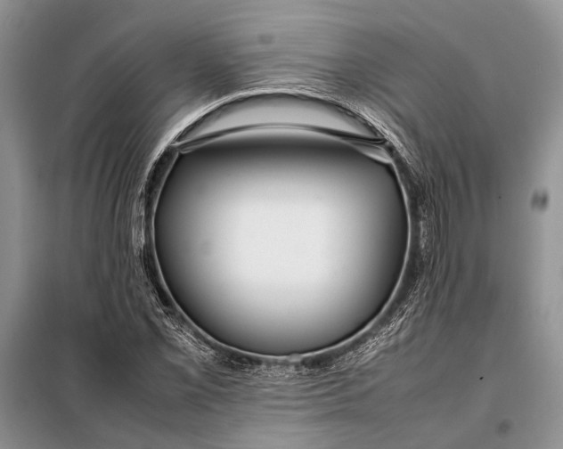 X0000098021069200804181156