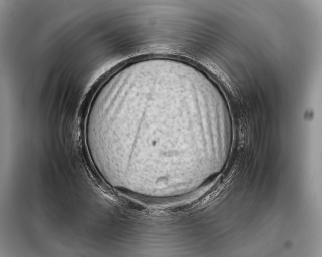 X0000098021070200804181156