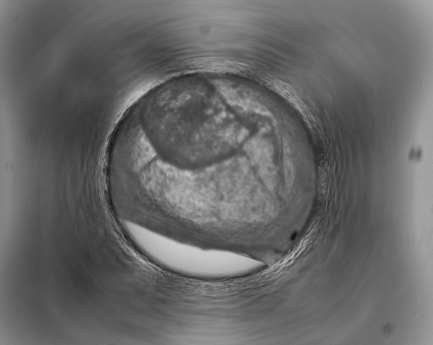 X0000098021071200804181156