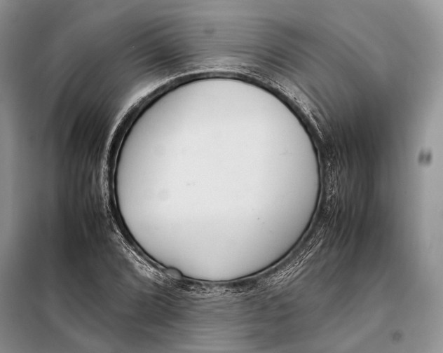 X0000098021072200804181156