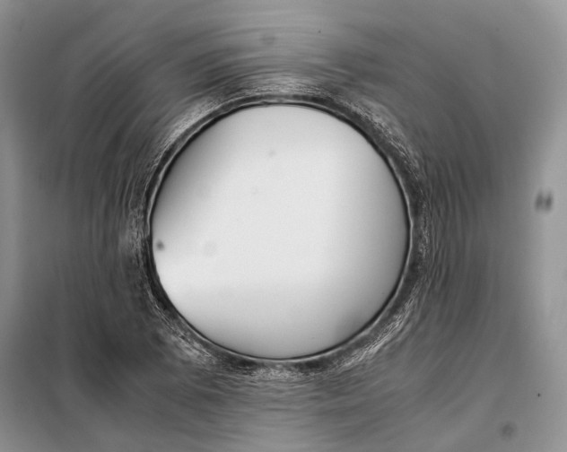 X0000098021073200804181156