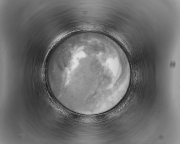 X0000098021074200804181156