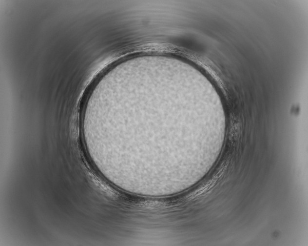 X0000098021075200804181156