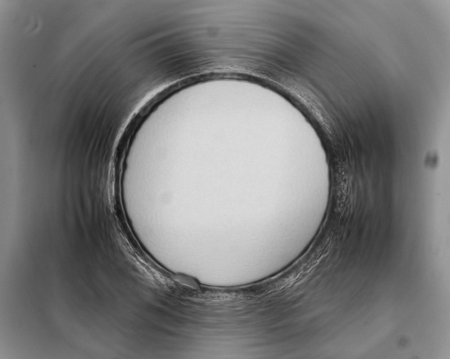 X0000098021076200804181156