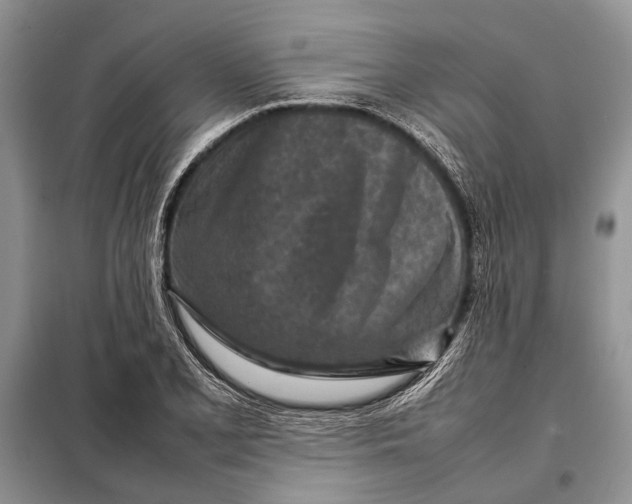 X0000098021077200804181156