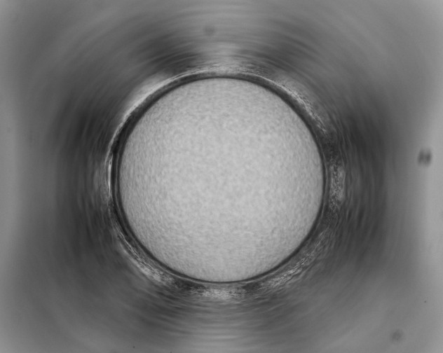 X0000098021078200804181156