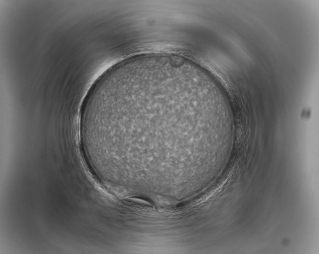 X0000098021079200804181156