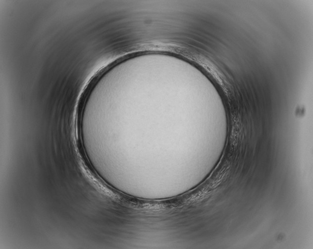 X0000098021080200804181156