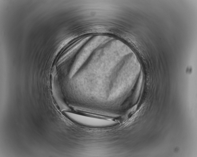 X0000098021081200804181156