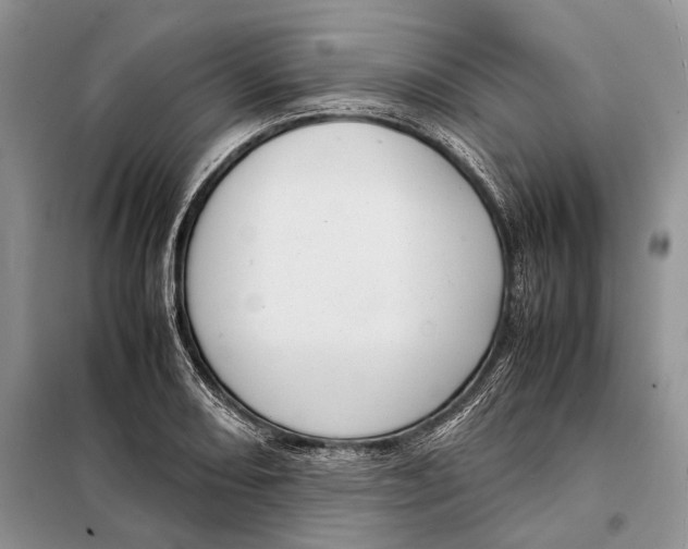 X0000098021082200804181156