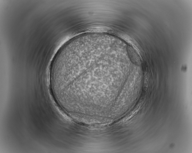 X0000098021083200804181156