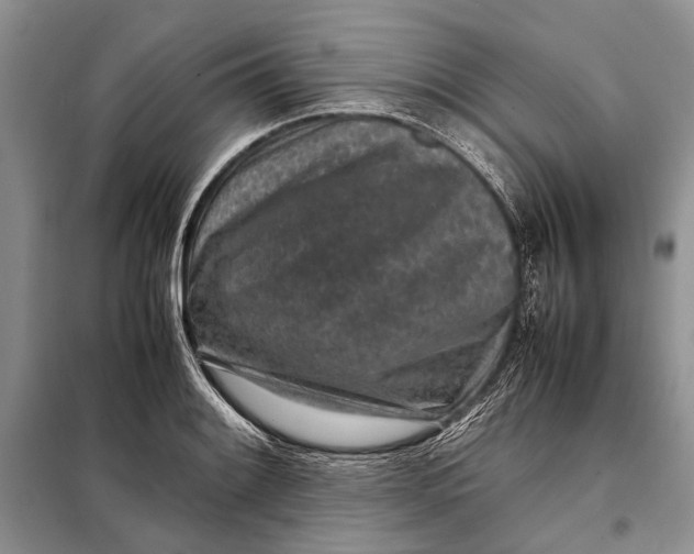 X0000098021084200804181156