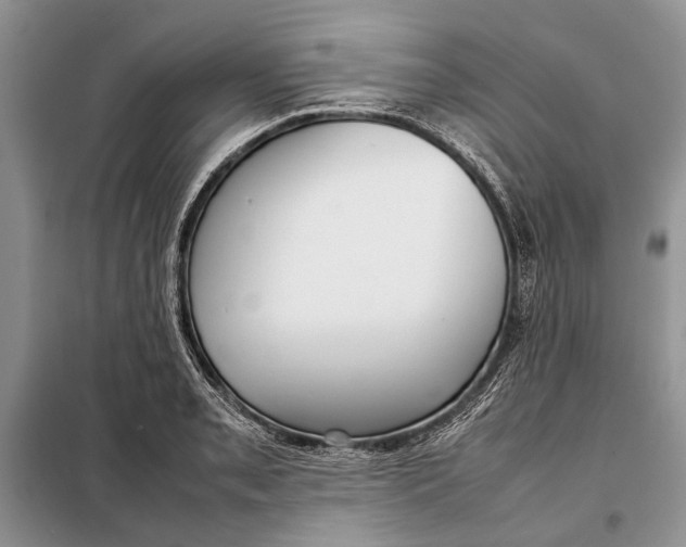 X0000098021085200804181156