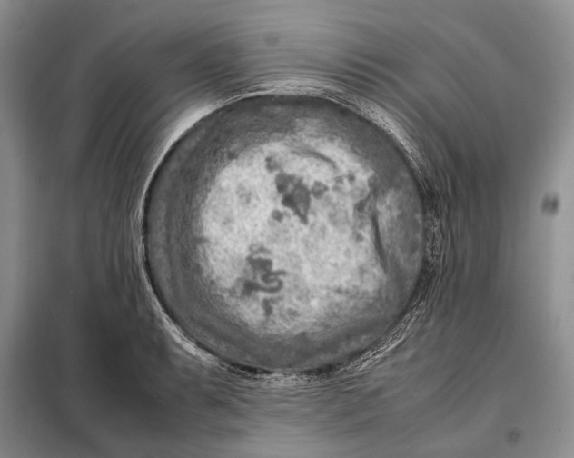 X0000098021087200804181156