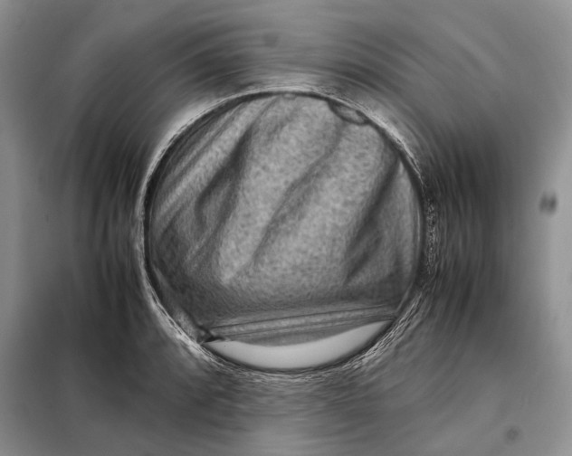 X0000098021088200804181156