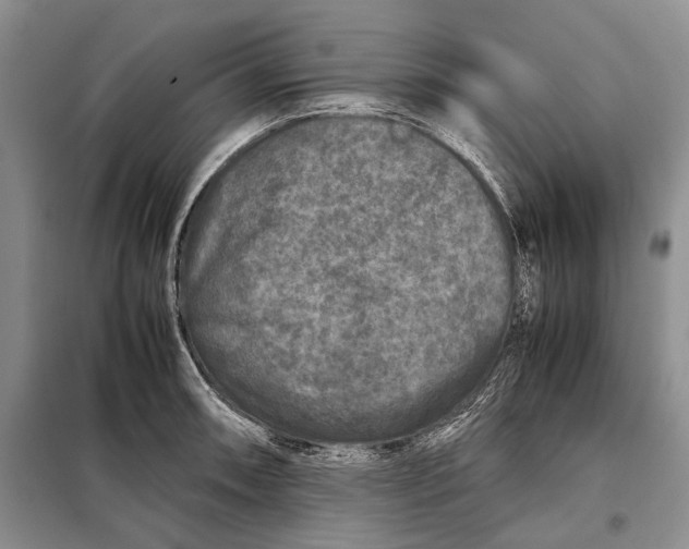 X0000098021090200804181156