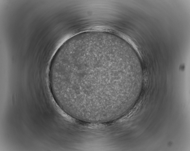 X0000098021091200804181156