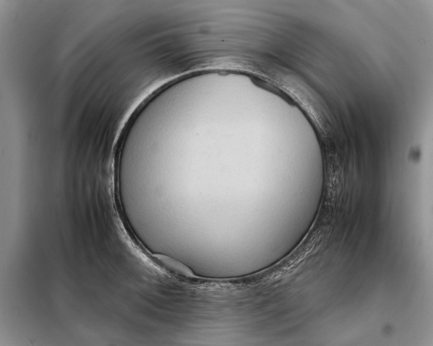 X0000098021092200804181156