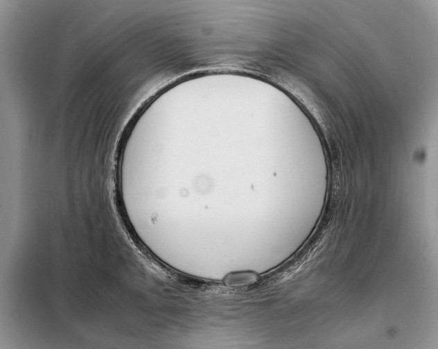 X0000098021093200804181156