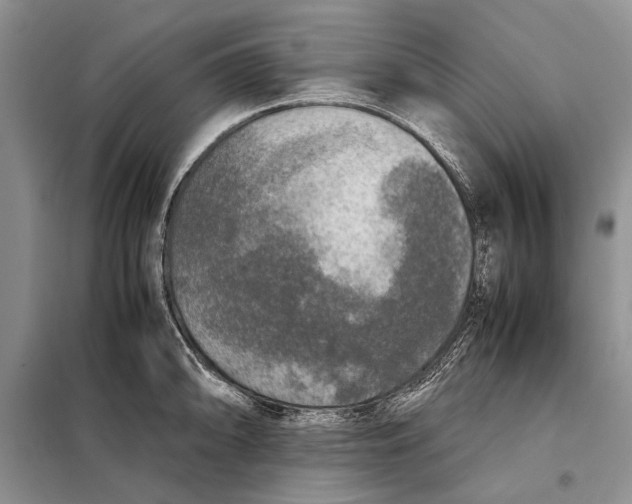 X0000098021094200804181156