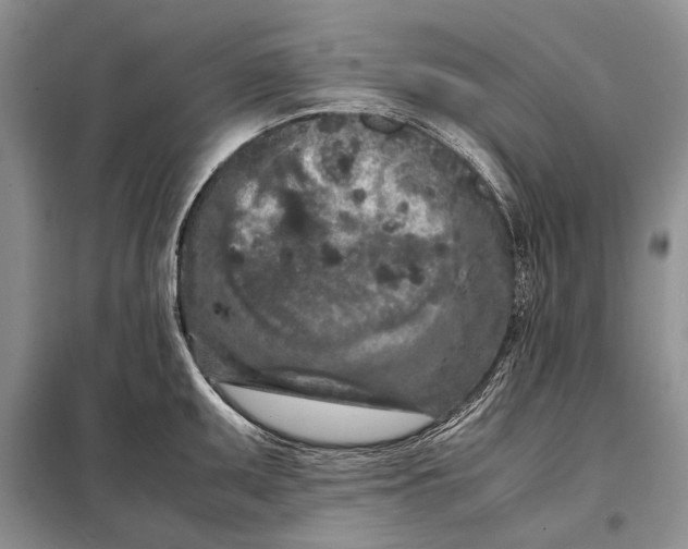 X0000098021095200804181156