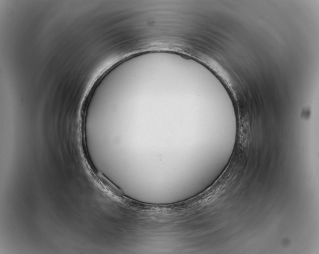 X0000098021096200804181156