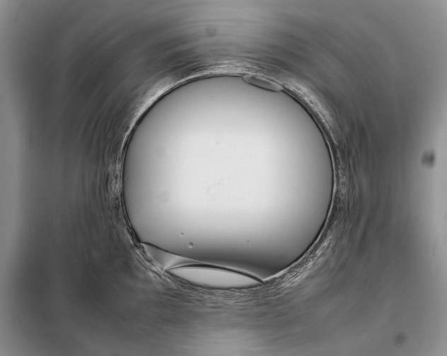 X0000098021097200804181156