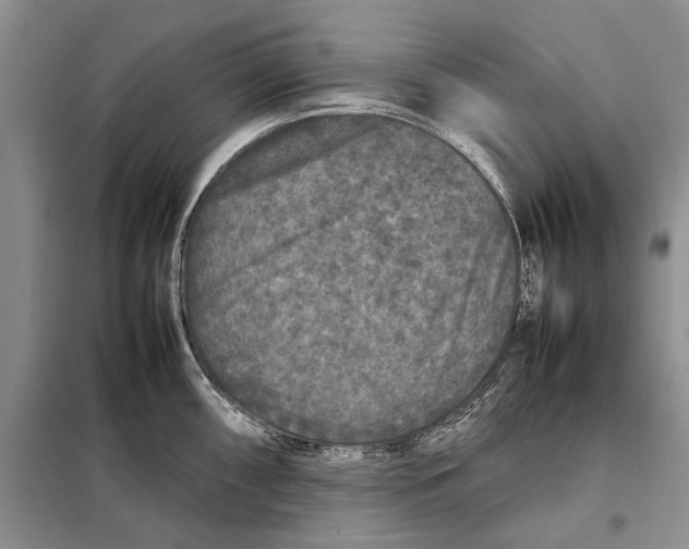 X0000098021098200804181156