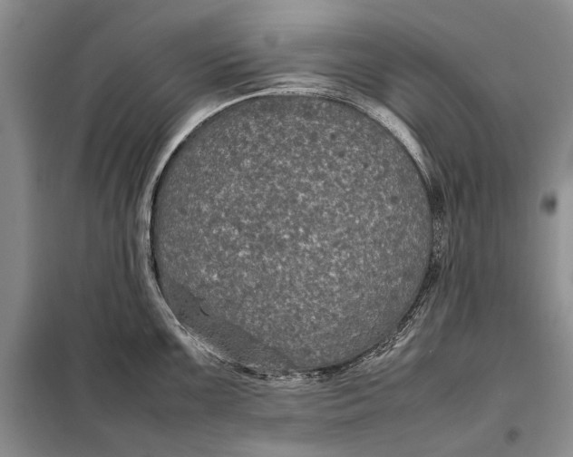 X0000098021099200804181156