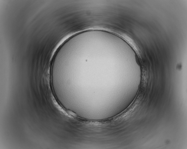 X0000098021100200804181156