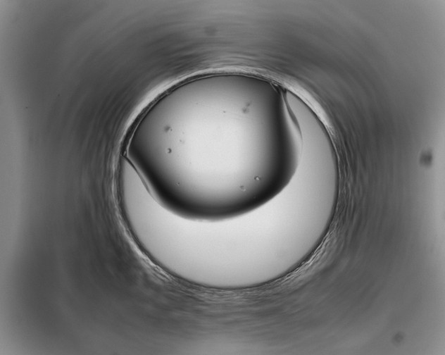 X0000098021101200804181156