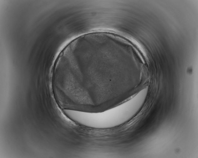 X0000098021102200804181156