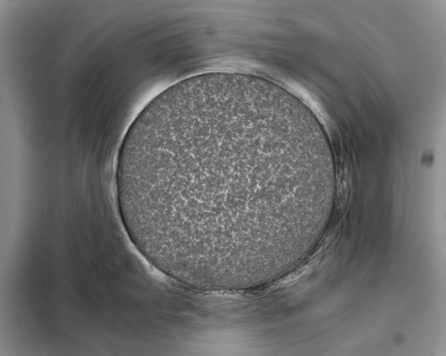 X0000098021103200804181156