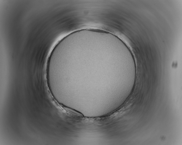 X0000098021104200804181156