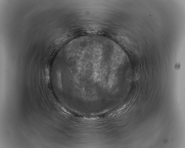 X0000098021106200804181155