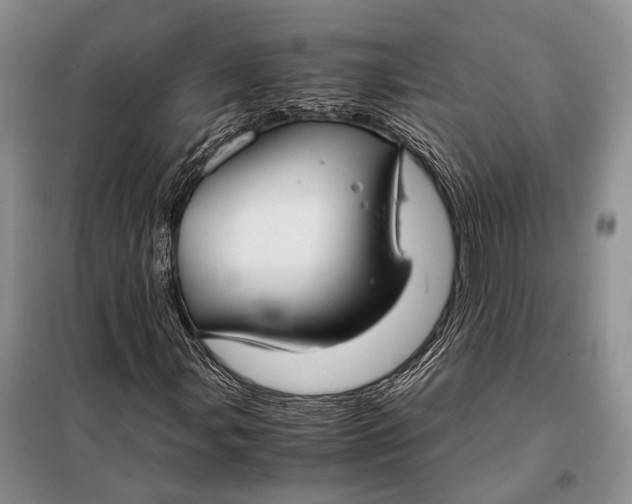 X0000098021107200804181155