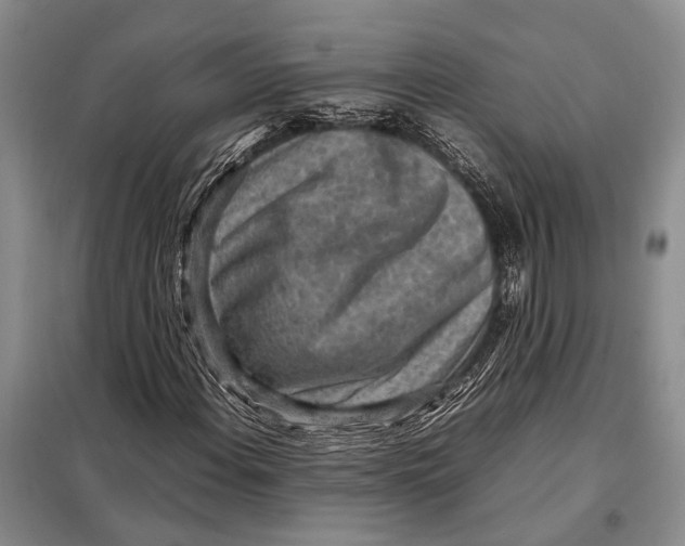 X0000098021108200804181155