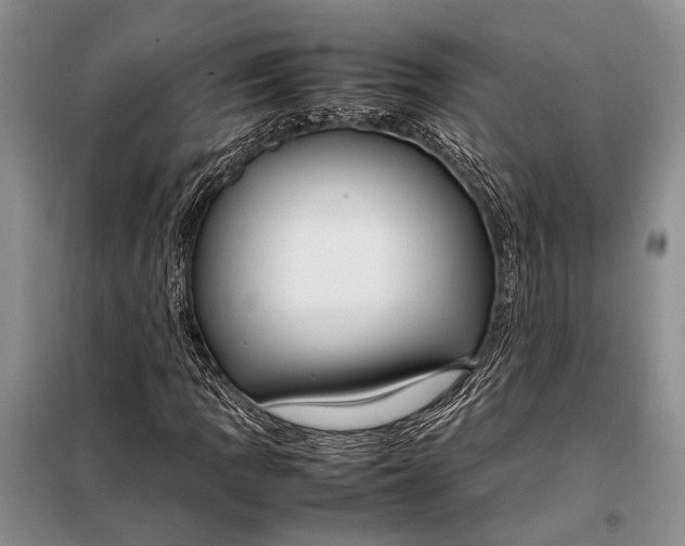 X0000098021109200804181155