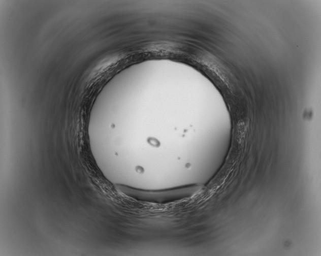 X0000098021111200804181155